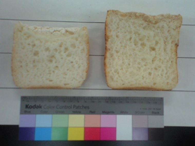 グルテンフリー米粉パンの断面写真