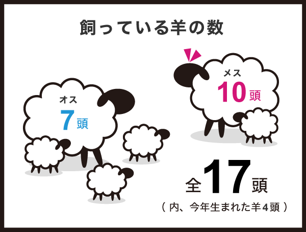 飼っている羊の数